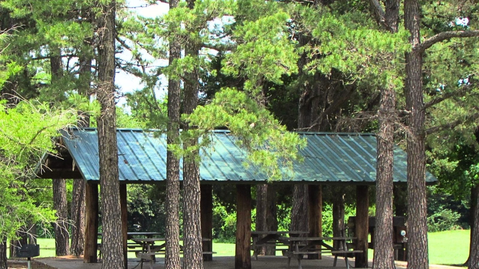 Untitled design (91)